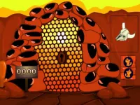 SUNLAND PARROT ESCAPE image