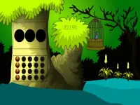 image bg Cage Bird Escape