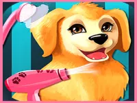Puppy image