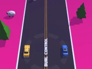 Dual Control Car image