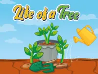 image bg Life of a Tree
