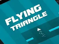 Flying Triangle 2021 image