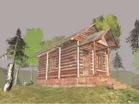 Survive In The Forest image