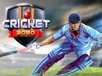 Cricket 2020 image