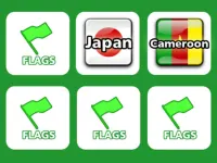 Memory with Flags image