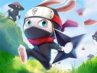 Ninja Rabbit image