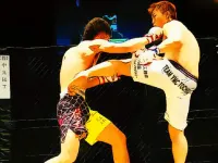 Fighting Match Jigsaw image