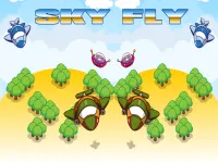 Sky Fly image