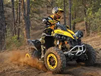 ATV Offroad Puzzle image
