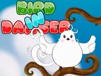 Bird in danger image