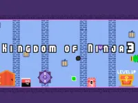 Kingdom of Ninja 3 image