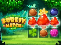 Forest Match image