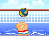 Volley ball image