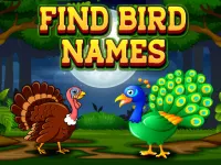 Find Birds Names image