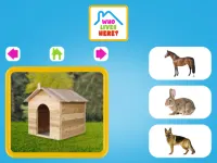 Who lives here image