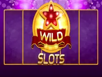 Wild Slot image