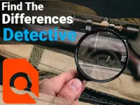 Find the Differences Detective image