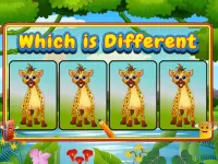 Which Is Different Animal image