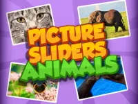 Picture Slider Animals image
