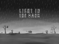 LIGHT IN THE DARK image
