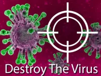 Destroy The Virus image