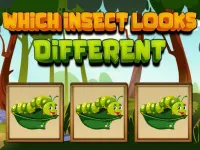 Which Insect Looks Different image