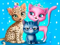 Cat Hair Salon image