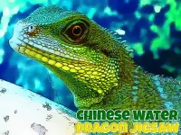 Chinese Water Dragon Jigsaw image