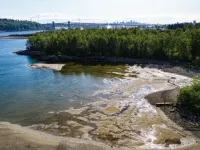 Yasar Prod Game image