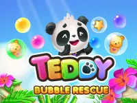 Teddy Bubble Rescue image