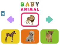 Baby Animal image