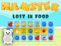 Hamster Lost In Food image