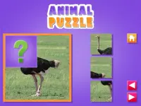 Animal Puzzle image