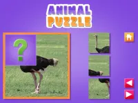 Animal Puzzle image