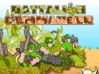Battalion Commander image