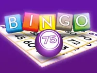 Bingo 75 image