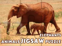 Animals Jigsaw Puzzle Elephants image