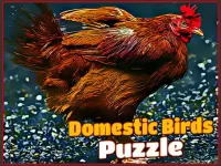 Domestic Birds Puzzle image