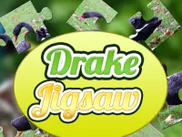 Drake Jigsaw image