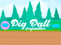 Pig Ball impostor image