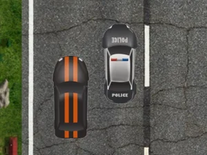 Highway Police Race image