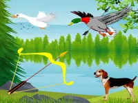 Archery bird hunter image