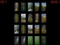 forest memory image