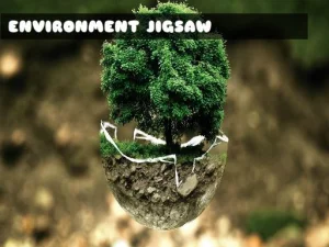 Environment Jigsaw image