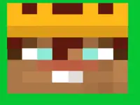 MINI RUN RACE image