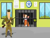 Animals Rescue image