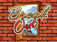 BREAK OUT image