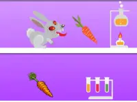 Rabid Rabbit image