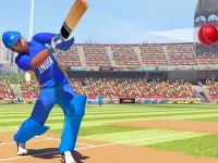 Cricket World Cup image