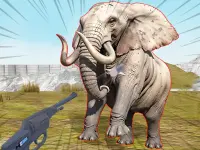 Zoo Anomaly Simulation image